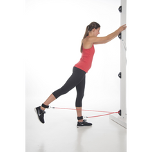 Load image into Gallery viewer, Bob and Brad Workout Wall Anchor